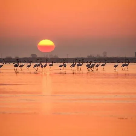 Casa vacanze Casa2patis El Poblenou del Delta